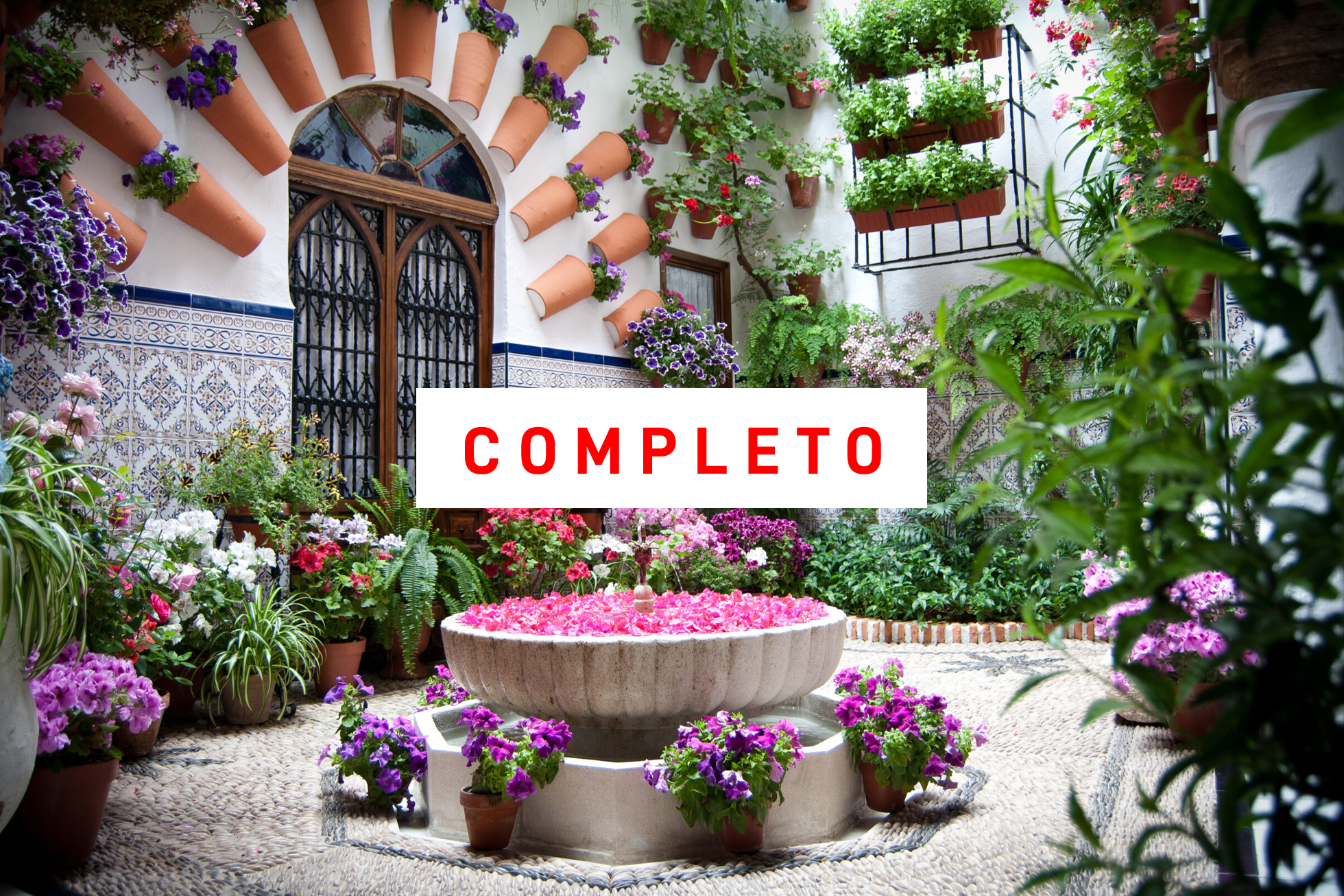Córdoba Rico, rico. Festival de patios y gastronomía