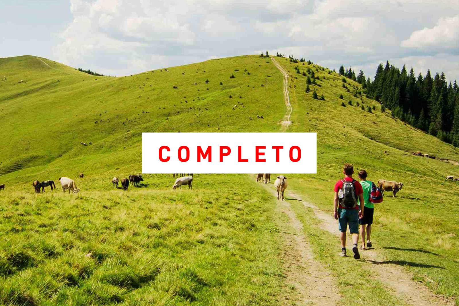Camino de Santiago Primitivo